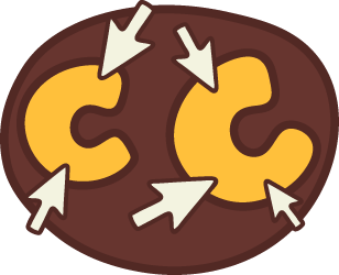 Cursor Camp